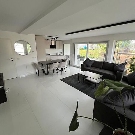 2 Moderne Wohnung Nahe Museum Sinsheim Buitenkant foto